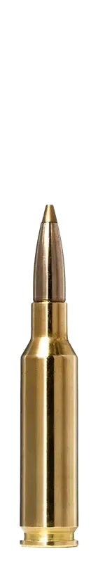 CARTUS 6,5CREEDMOOR/EVOSTRIKE/6,0G