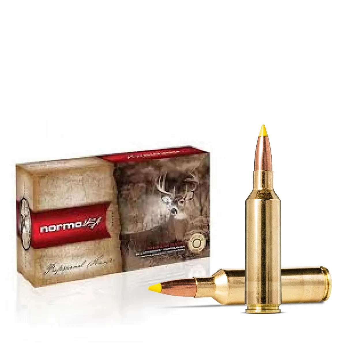 Muniție Norma Nosler BST .270 WSM 8.4 g. / 130 gr.