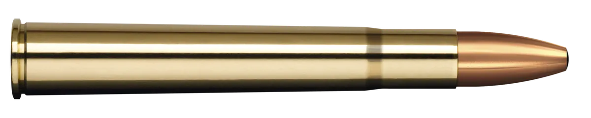 CARTUS 9,3X74R/ORYX/18,5g