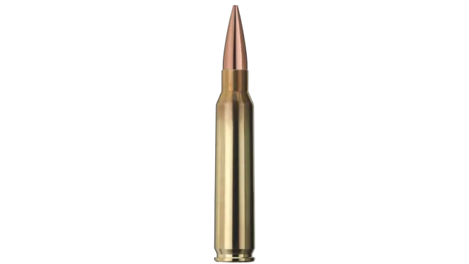 CARTUS GECO 223REM/TARGET HP/3,4G