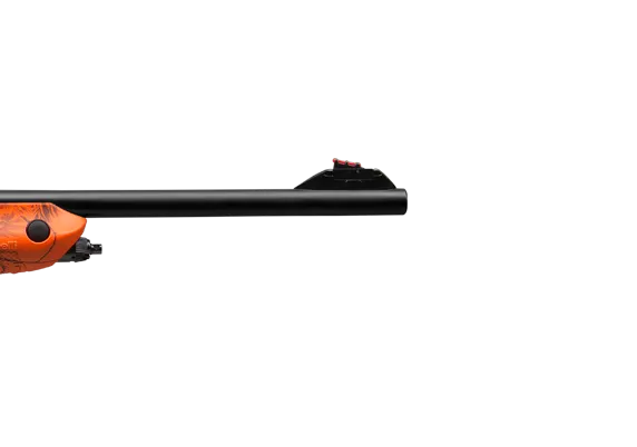 CATARE ARGO BENELLI
