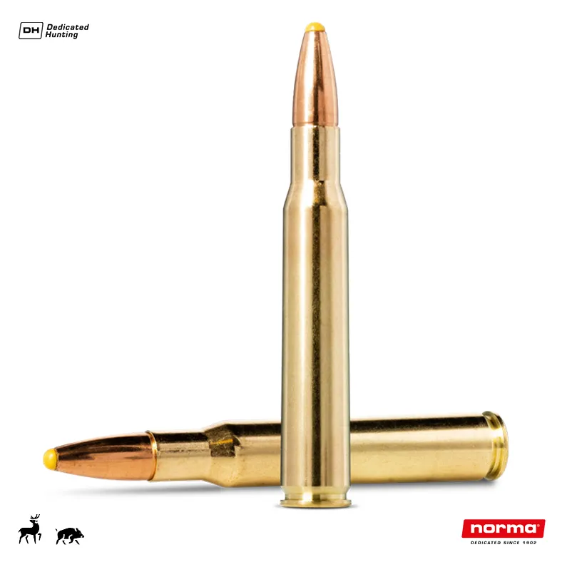 Cartus Norma Plastic Point cal: 30-06 Sprg. | 11.7 g.